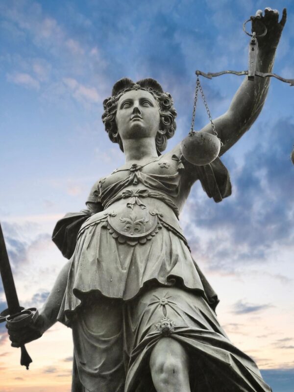 Litigation Statue